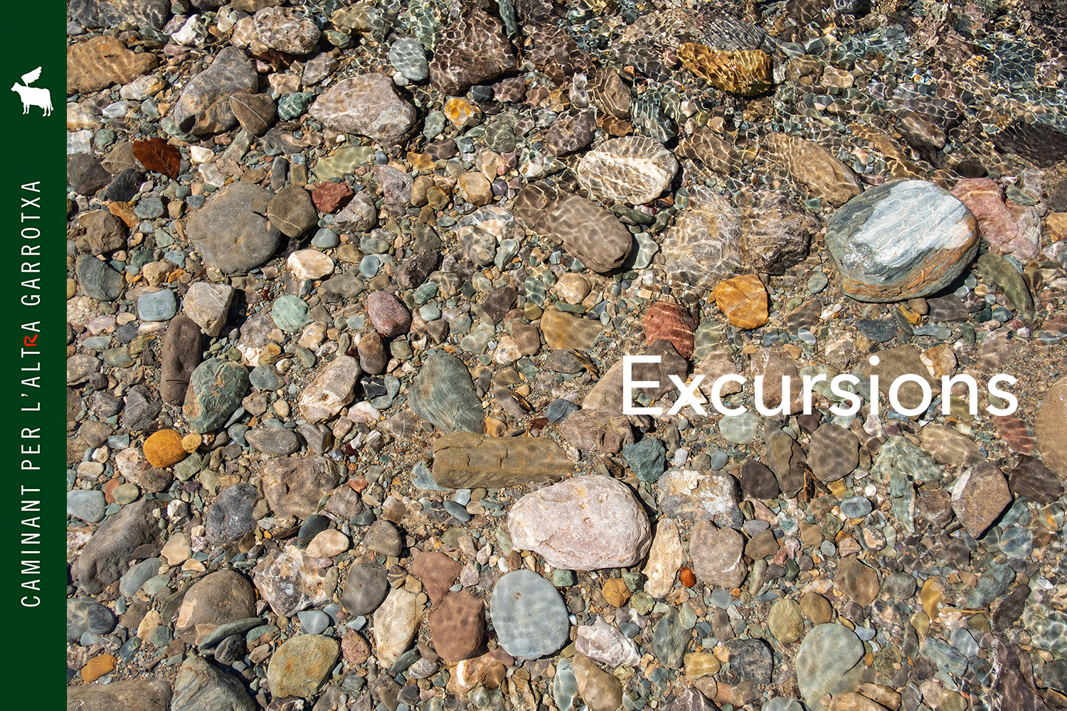 Excursions